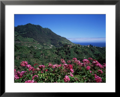 Landscape Near Sao Roque Do Faial, Island Of Madeira, Portugal, Atlantic by Hans Peter Merten Pricing Limited Edition Print image