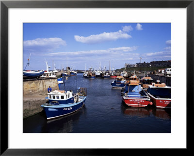 Harbour, Seahouses, Northumberland, England, United Kingdom by Geoff Renner Pricing Limited Edition Print image