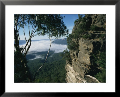 View From The Three Sisters Of Jamison Valley Under Fog, Blue Mountains National Park, Australia by Ken Gillham Pricing Limited Edition Print image