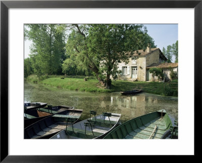 Marais Poitevin, Near Coulon, Western Loire, Poitou Charentes, France by Michael Busselle Pricing Limited Edition Print image