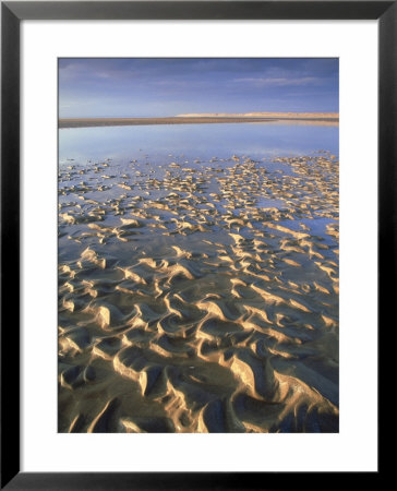 Dornoch Beach, Scotland by Iain Sarjeant Pricing Limited Edition Print image