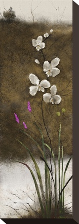 Orchid Ii by Rick Novak Pricing Limited Edition Print image