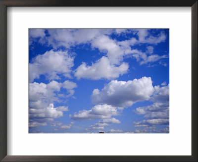 Blue Sky And Puffy White Clouds by Fraser Hall Pricing Limited Edition Print image