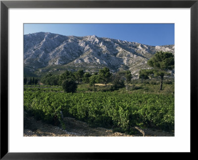 Vineyards And Montagne Ste. Victoire, Near Aix-En-Provence, Bouches-Du-Rhone, Provence, France by David Hughes Pricing Limited Edition Print image