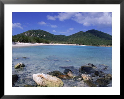 Coral, Salt Pond Bay, St. John, Usvi by Jim Schwabel Pricing Limited Edition Print image