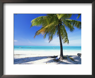 Palm Tree, White Sandy Beach And Indian Ocean, Jambiani, Island Of Zanzibar, Tanzania, East Africa by Lee Frost Pricing Limited Edition Print image
