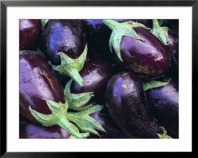 Aubergines, Tuscany, Italy, Europe by Bruno Morandi Pricing Limited Edition Print image