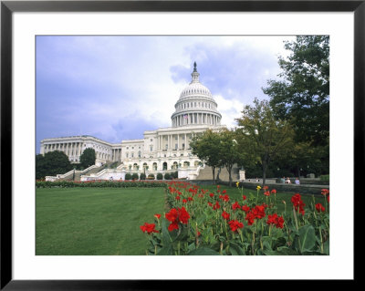 Capitol Building And Colorful Flowers, Washington Dc, Usa by Bill Bachmann Pricing Limited Edition Print image