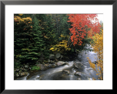 Moving Stream And Fall Colors, Groton, Vermont, Usa by Bill Bachmann Pricing Limited Edition Print image