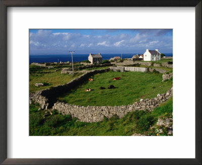 Farm At Inishmore, Ireland by Wayne Walton Pricing Limited Edition Print image