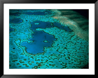 Overhead Of Heart Reef, Great Barrier Reef, Australia by Richard I'anson Pricing Limited Edition Print image