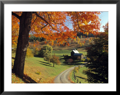 Fall Foliage, Vermont, Usa by Gavin Hellier Pricing Limited Edition Print image