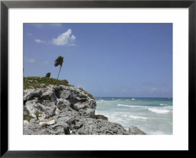 The Wind Blows Palm Trees On A Ridge Over The Beach In Tulum by Stephen Alvarez Pricing Limited Edition Print image