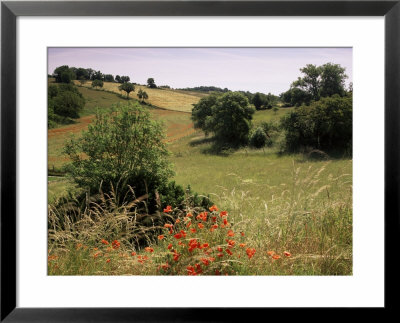 Landscape Near Cahors, Lot, Midi Pyrenees, France by Michael Busselle Pricing Limited Edition Print image