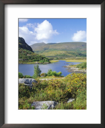 Ring Of Kerry Between Upper Lake And Muckross Lake, Munster, Republic Of Ireland (Eire) by Roy Rainford Pricing Limited Edition Print image