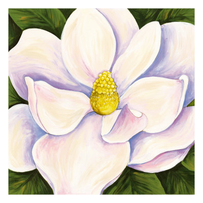 Morning Magnolia by Sophia Davidson Pricing Limited Edition Print image