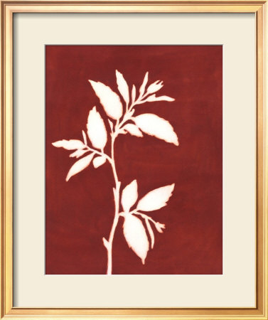 Four Seasons Foliage Iii by Megan Meagher Pricing Limited Edition Print image
