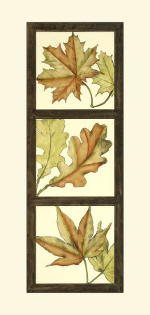 Fall Leaves Ii by Jennifer Goldberger Pricing Limited Edition Print image