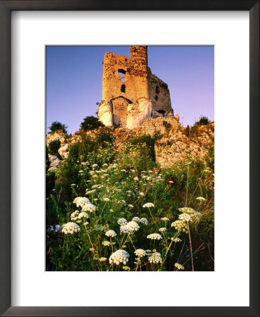 Ruined Castle On Eagle's Nest Trail, Mirow, Malopolskie, Poland by Witold Skrypczak Pricing Limited Edition Print image