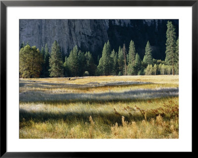 El Capitan Meadow In The Valley Of Yosemite National Park by Marc Moritsch Pricing Limited Edition Print image