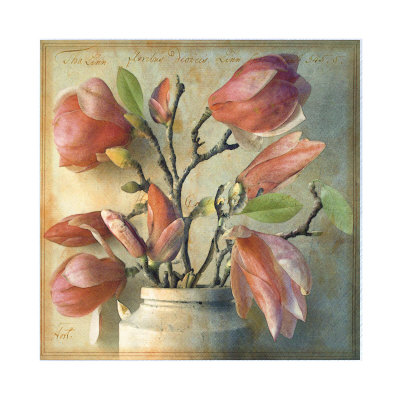 Magnolias by Sally Wetherby Pricing Limited Edition Print image