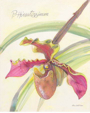 Celery Orchid by Elissa Della-Piana Pricing Limited Edition Print image