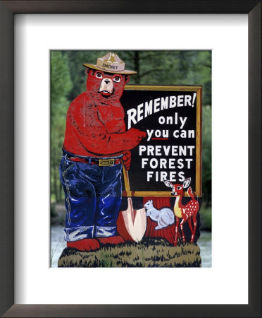 Forest Service Sign, Smokey Bear Warning Of Fire Danger by David R. Frazier Pricing Limited Edition Print image
