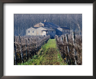 Winery Vines And Buildng, Torgiano, Umbria, Italy by Oliver Strewe Pricing Limited Edition Print image