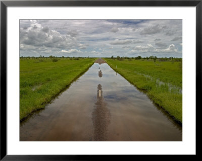 Flooded Road Through Green Fields Under A Cloud-Filled Sky by Randy Olson Pricing Limited Edition Print image