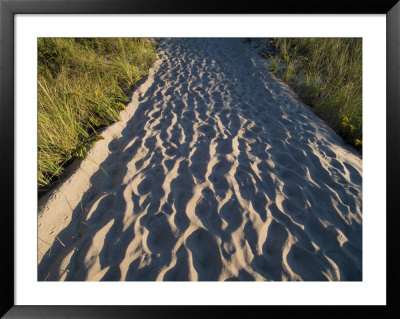 Sand Path Through The Dunes, Block Island, Rhode Island by Todd Gipstein Pricing Limited Edition Print image