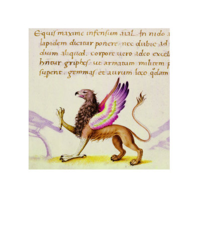 Griffin by Pietro Candido Decembrio Pricing Limited Edition Print image