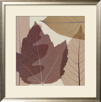 Four Leaves Ii by Steven N. Meyers Pricing Limited Edition Print image