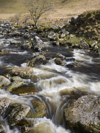 Fast Flowing Water Over Rocks At Tavy Cleave, Dartmoor Np, Devon, Uk by Adam Burton Pricing Limited Edition Print image