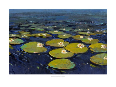 Lily Pads I by Tim O'toole Pricing Limited Edition Print image
