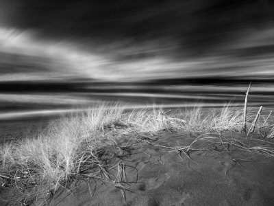 Beach Scene In Monterey, California by Images Monsoon Pricing Limited Edition Print image