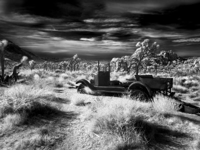 Old Car In Trees, Joshua Tree National Park, California by Images Monsoon Pricing Limited Edition Print image