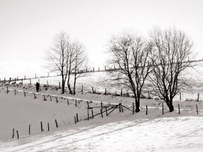 Man Walking In Winter Countryside by Ilona Wellmann Pricing Limited Edition Print image