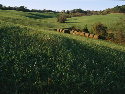 Hay Bales In Fields by Stephen Alvarez Pricing Limited Edition Print image