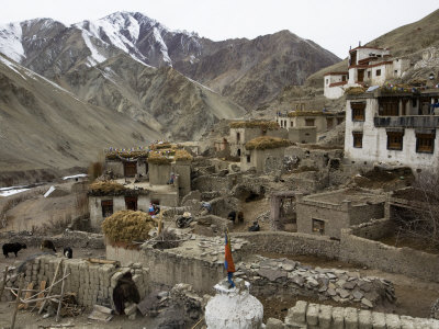 Rumbak Is The Only Village In Hemis National Park by Steve Winter Pricing Limited Edition Print image