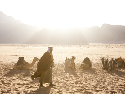Bedouin Man Walks Past A Row Of Camels On A Sunny Day by Taylor S. Kennedy Pricing Limited Edition Print image