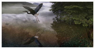 Taking Flight by Steve Hunziker Pricing Limited Edition Print image