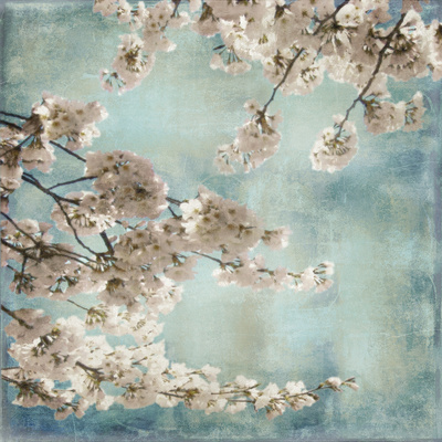 Aqua Blossoms Ii by John Seba Pricing Limited Edition Print image