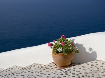 Greek Flowers Over The Sea by Scott Stulberg Pricing Limited Edition Print image