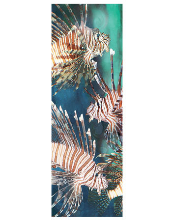 Lion Fish by Melinda Bradshaw Pricing Limited Edition Print image