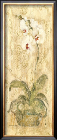 Esprit Phalaenopsis Panel by Cheri Blum Pricing Limited Edition Print image