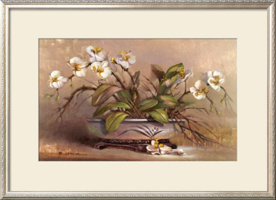 Orchid Passion by Paul Mathenia Pricing Limited Edition Print image