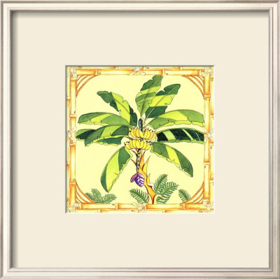 Banana Palm by Siddhia Hutchinson Pricing Limited Edition Print image