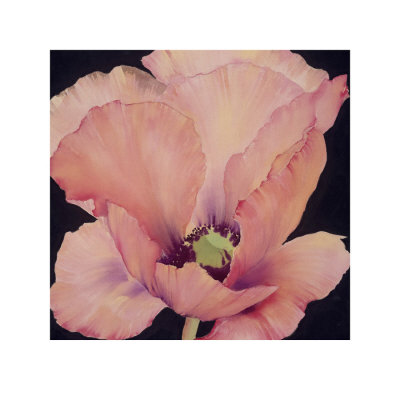 Delicate Pink Poppy by Maggie Thompson Pricing Limited Edition Print image