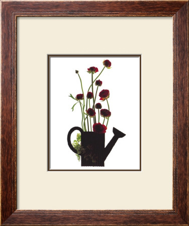 Wild Buttercups, Watering Can by Philippe Ughetto Pricing Limited Edition Print image