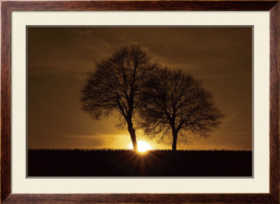 A New Beginning by Ily Szilagyi Pricing Limited Edition Print image